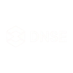 DNSE